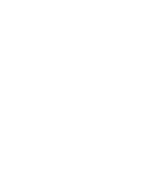 Shape of Michigan